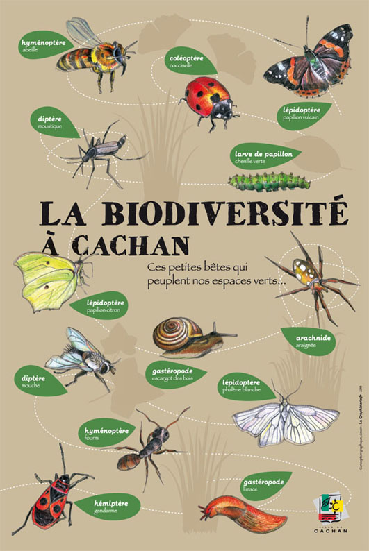 Panneau_Biodiversite_Cachan